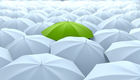 Individuelle Marktforschung